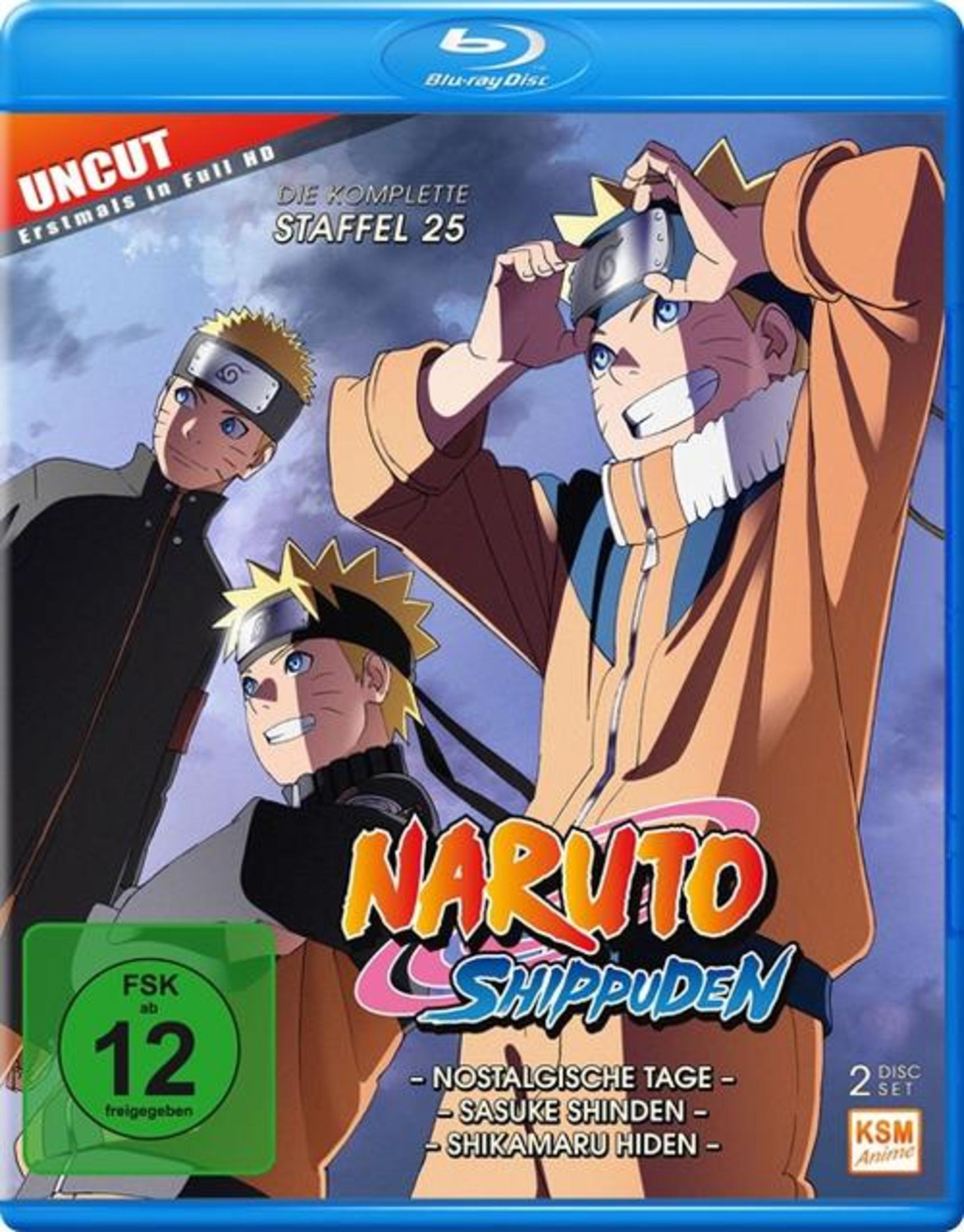 Copertina Blu-ray Anime: Naruto Shippuden Stagione 25 con Naruto e Sasuke.