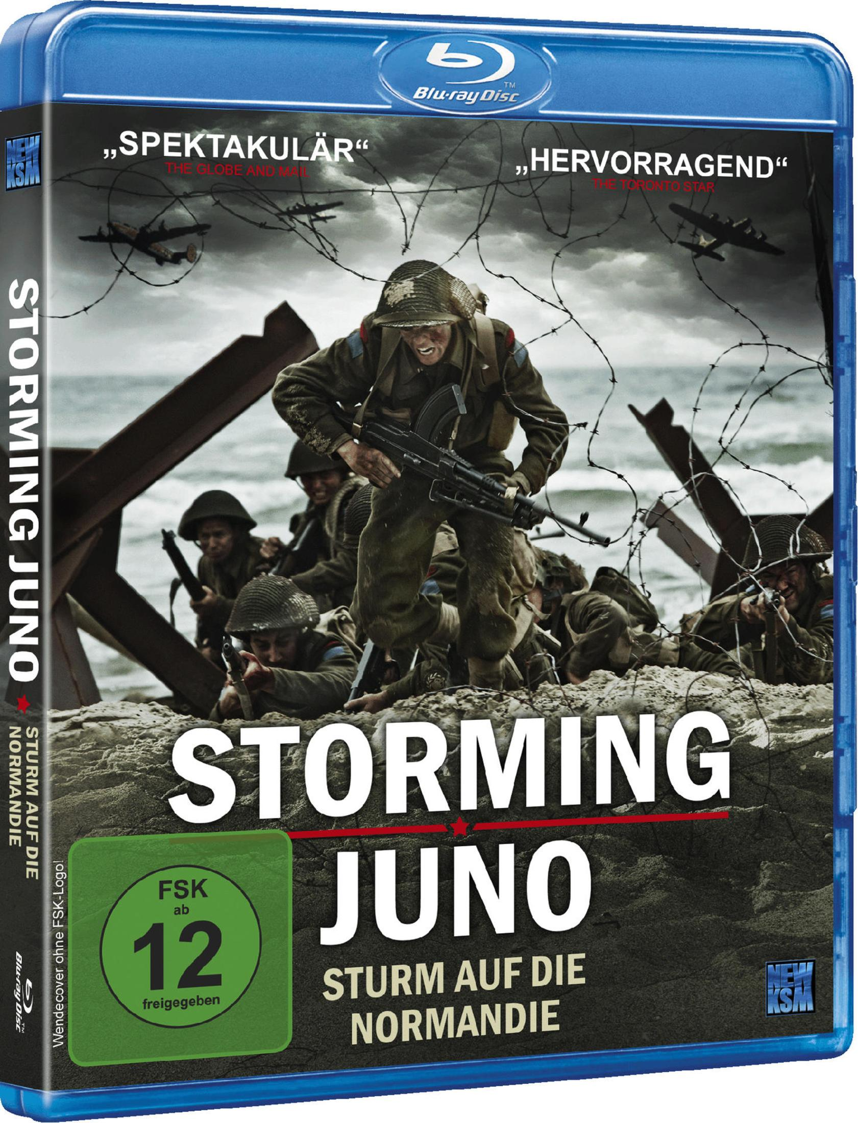 Soldaten im Zweiten Weltkrieg landen am Strand, Stacheldraht und Flugzeuge im Hintergrund.