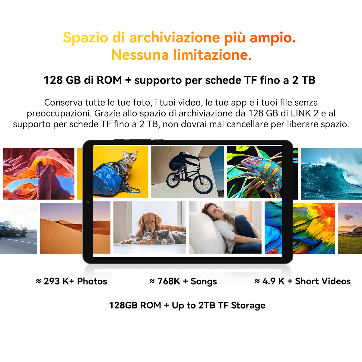 Tablet con foto: canyon, gatto, BMX, camaleonte, onda, auto, deserto, cani, donna, pappagallo.
