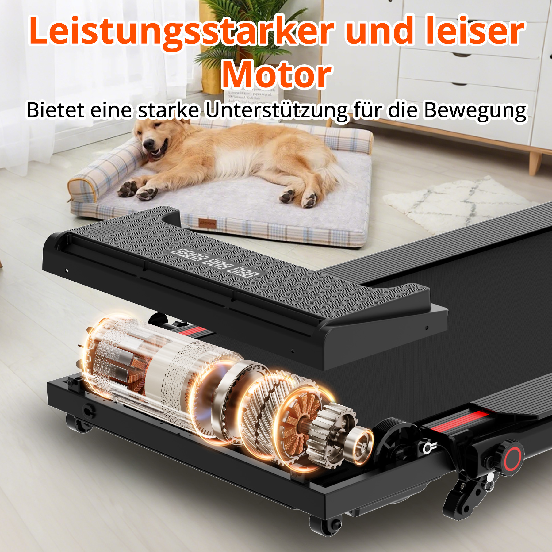 Ein Hund liegt auf einem Bett neben einem Laufband mit offenem Motor.