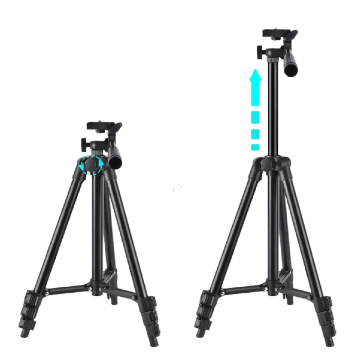 Dwa czarne statywy. Lewy pokazuje obrotową blokadę. Prawy pokazuje regulację wysokości.