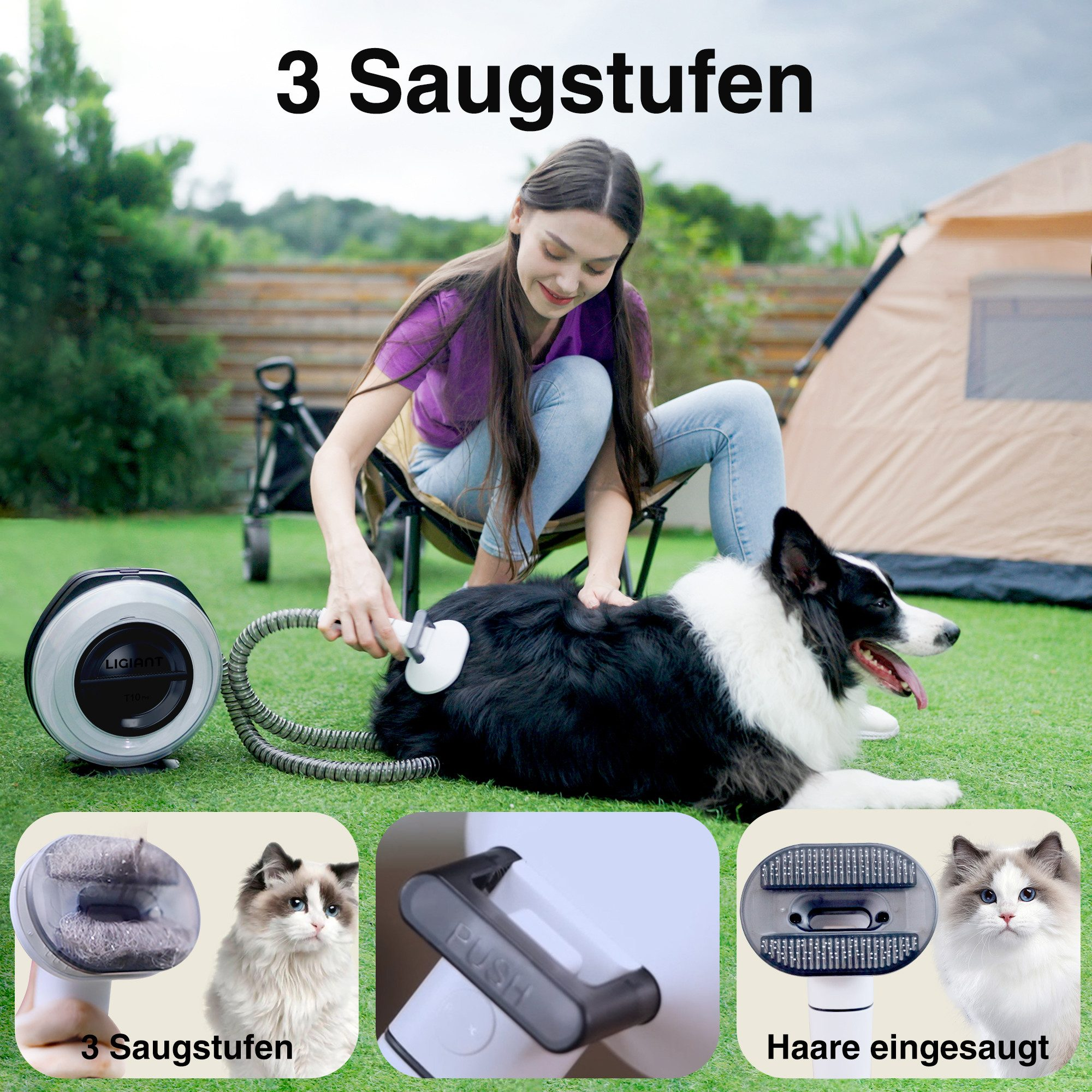 Frau bürstet Hund mit Sauger; drei Unterbilder zeigen Geräte und Katzen.
