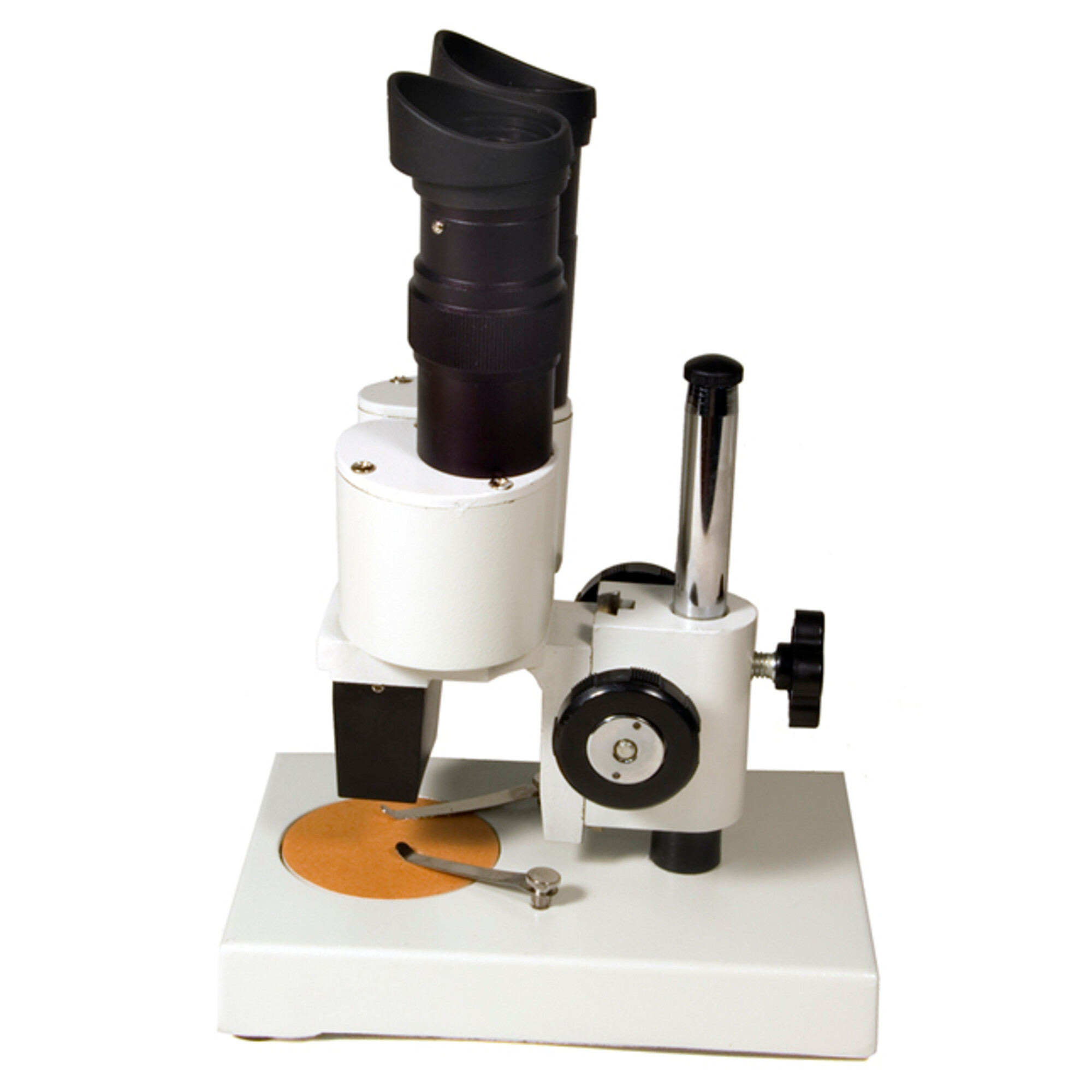 Ein weißes Stereomikroskop mit schwarzen Okularen und Verstellknöpfen.