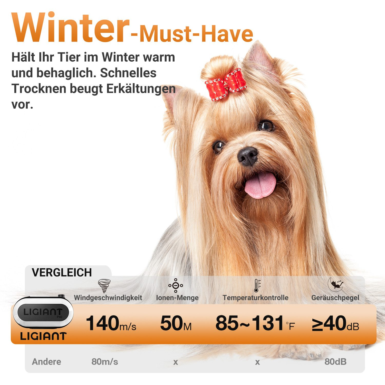 Yorkshire Terrier mit roter Schleife. Vergleich Ligiant Föhn Specs: 140m/s, 50M Ionen, 85-131F, <gt/>=40dB.