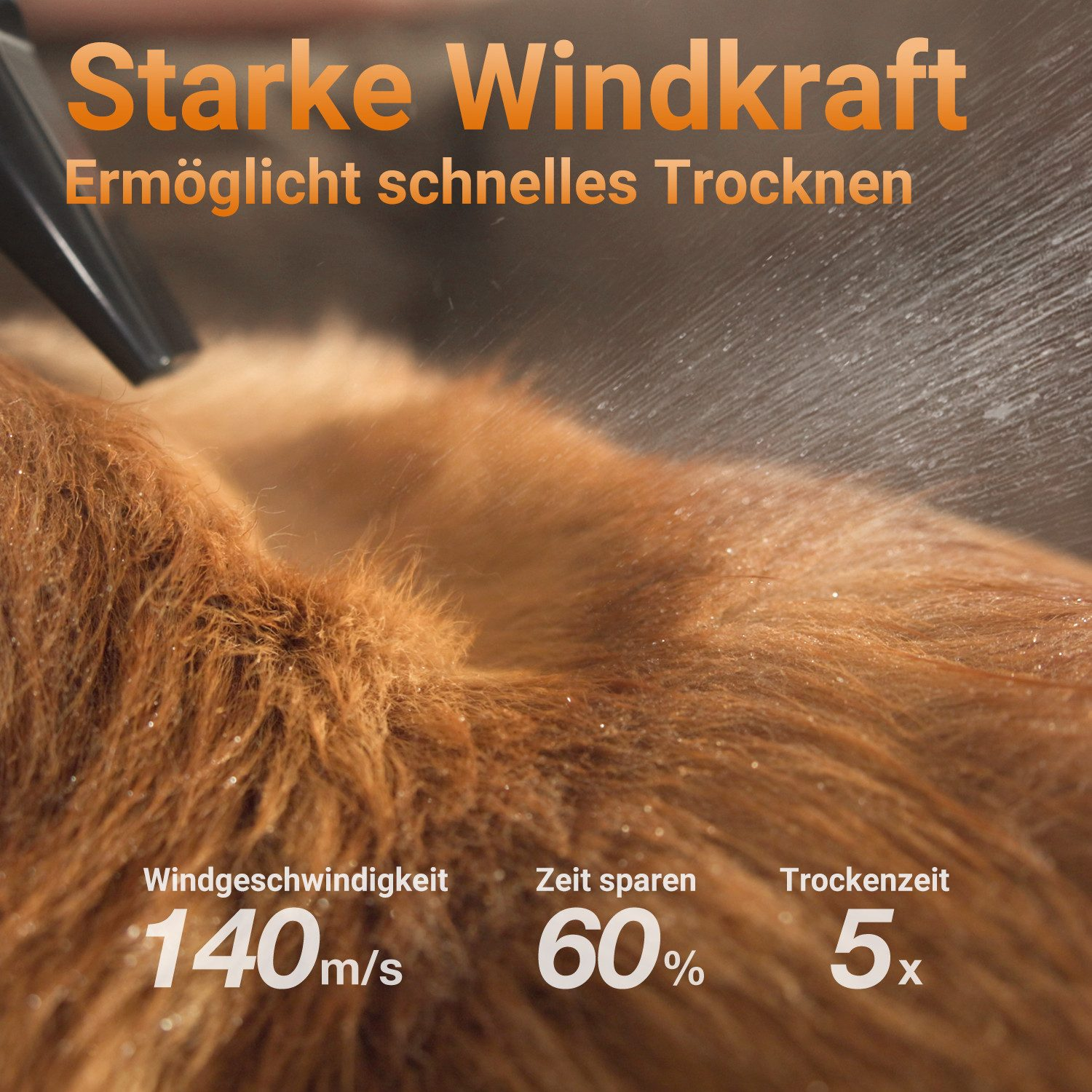 Nahaufnahme von Hundefell, das von einem Föhn getrocknet wird. Text: 'Starke Windkraft ermöglicht schnelles Trocknen'.