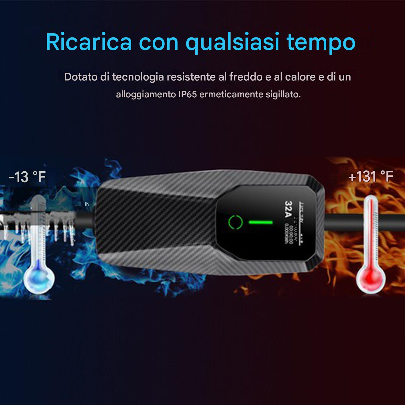 Caricatore con termometri a -13°F e +131°F. Custodia IP65.