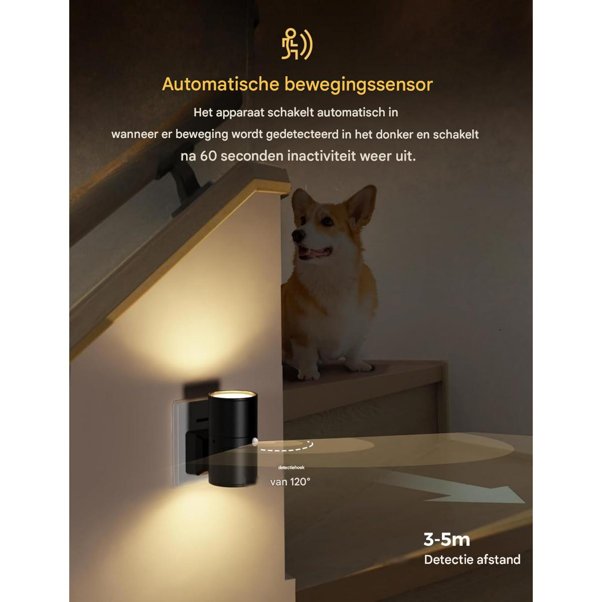 Ein Bewegungssensor im Dunkeln leuchtet Treppen. Ein Corgi sitzt auf den Stufen.