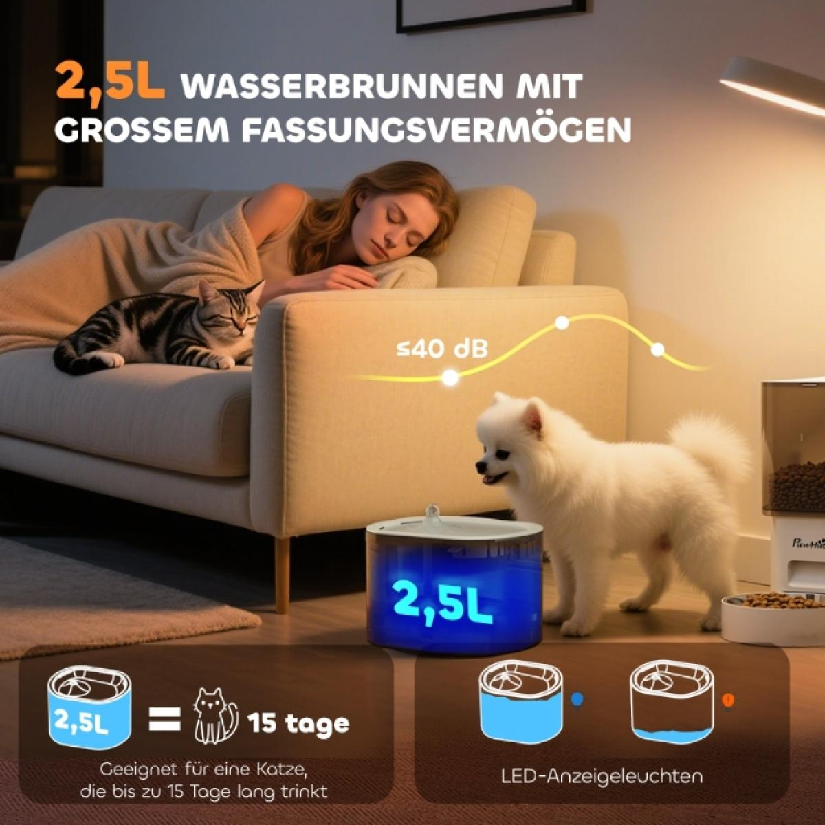 Frau schläft auf Sofa mit Katze. Weißer Hund trinkt aus blau beleuchtetem 2,5L Wassernapf.