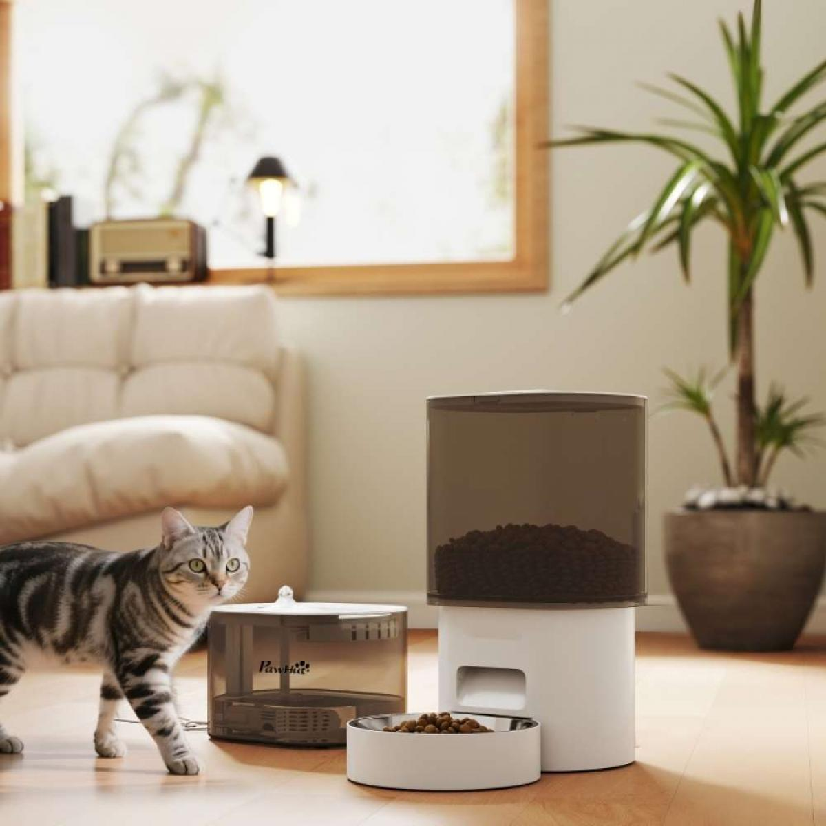 Eine getigerte Katze steht neben einem automatischen Futterspender und einem Napf mit Futter.