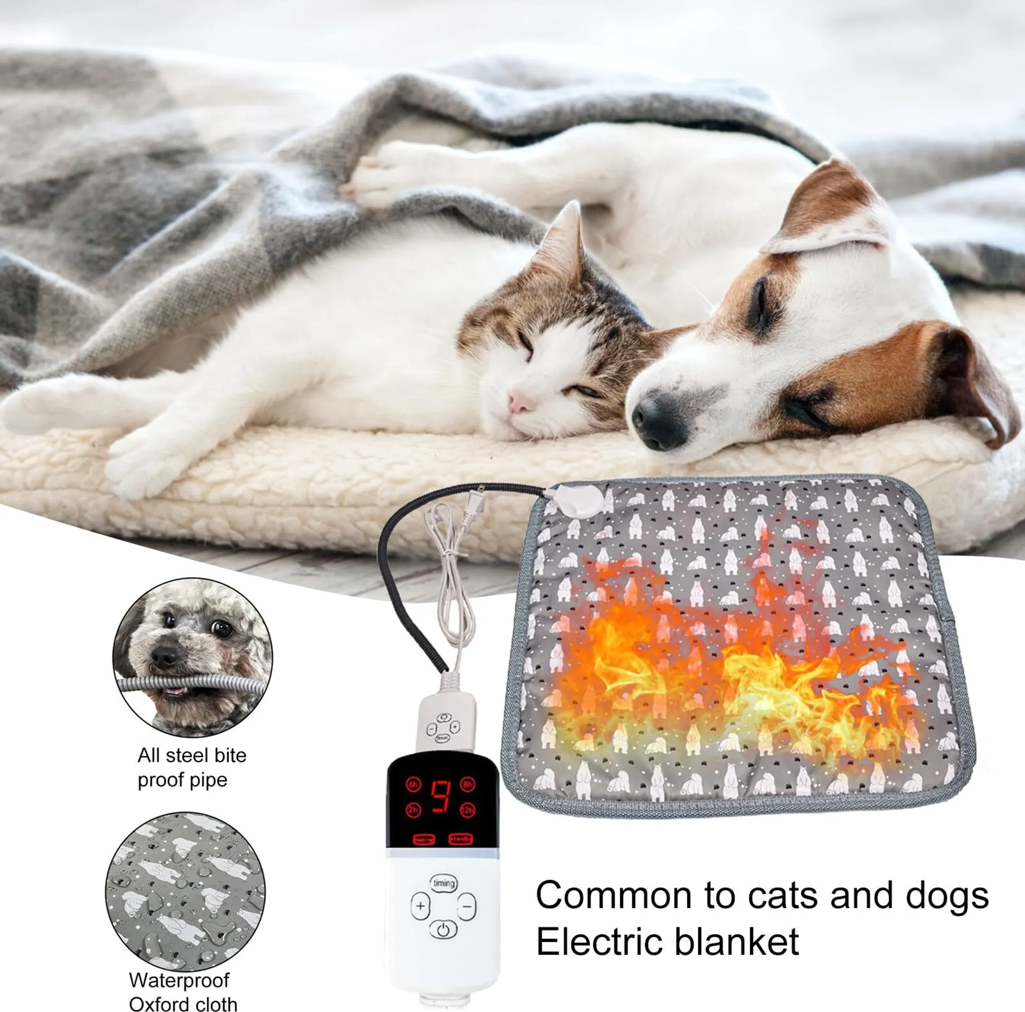 Eine Katze und ein Hund schlafen auf einer Decke neben einer elektrischen Haustierdecke.
