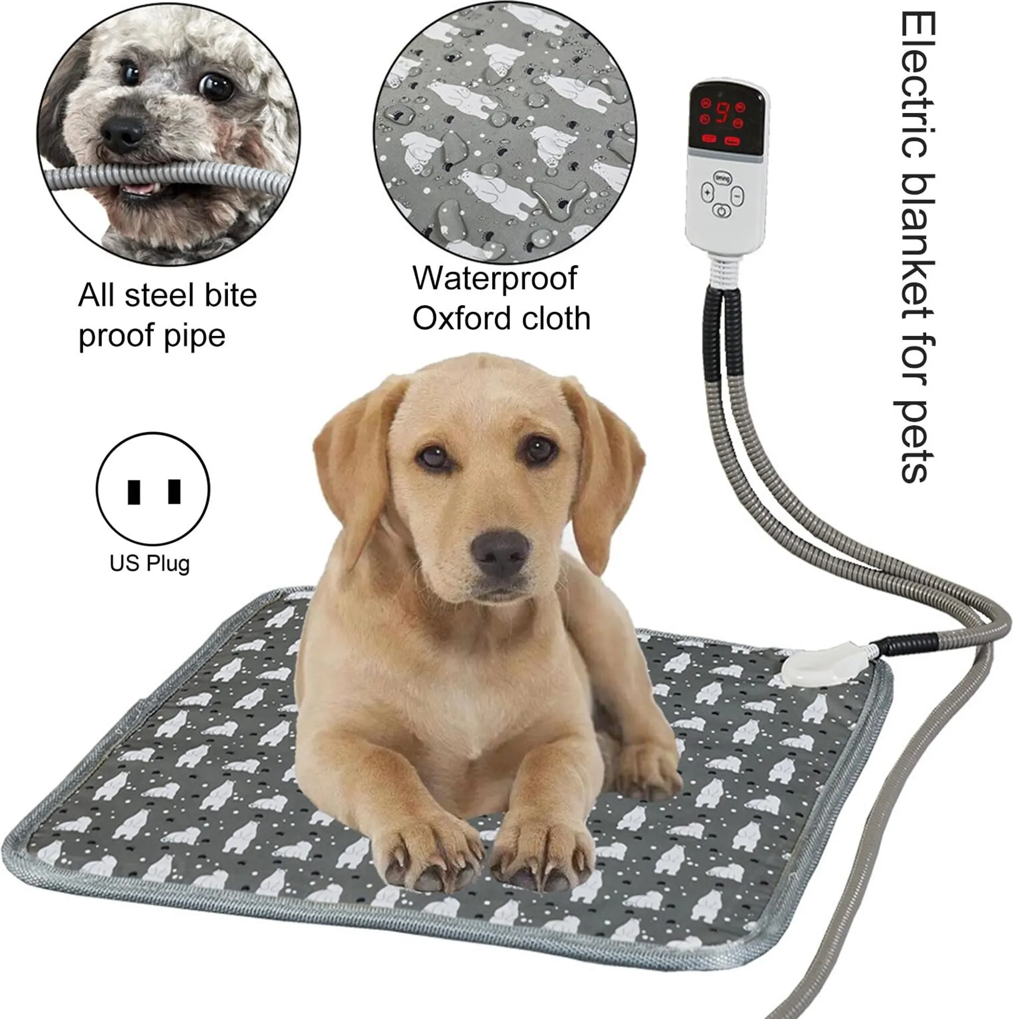 Ein Hund liegt auf einer elektrischen Haustierdecke mit Bärenmuster.