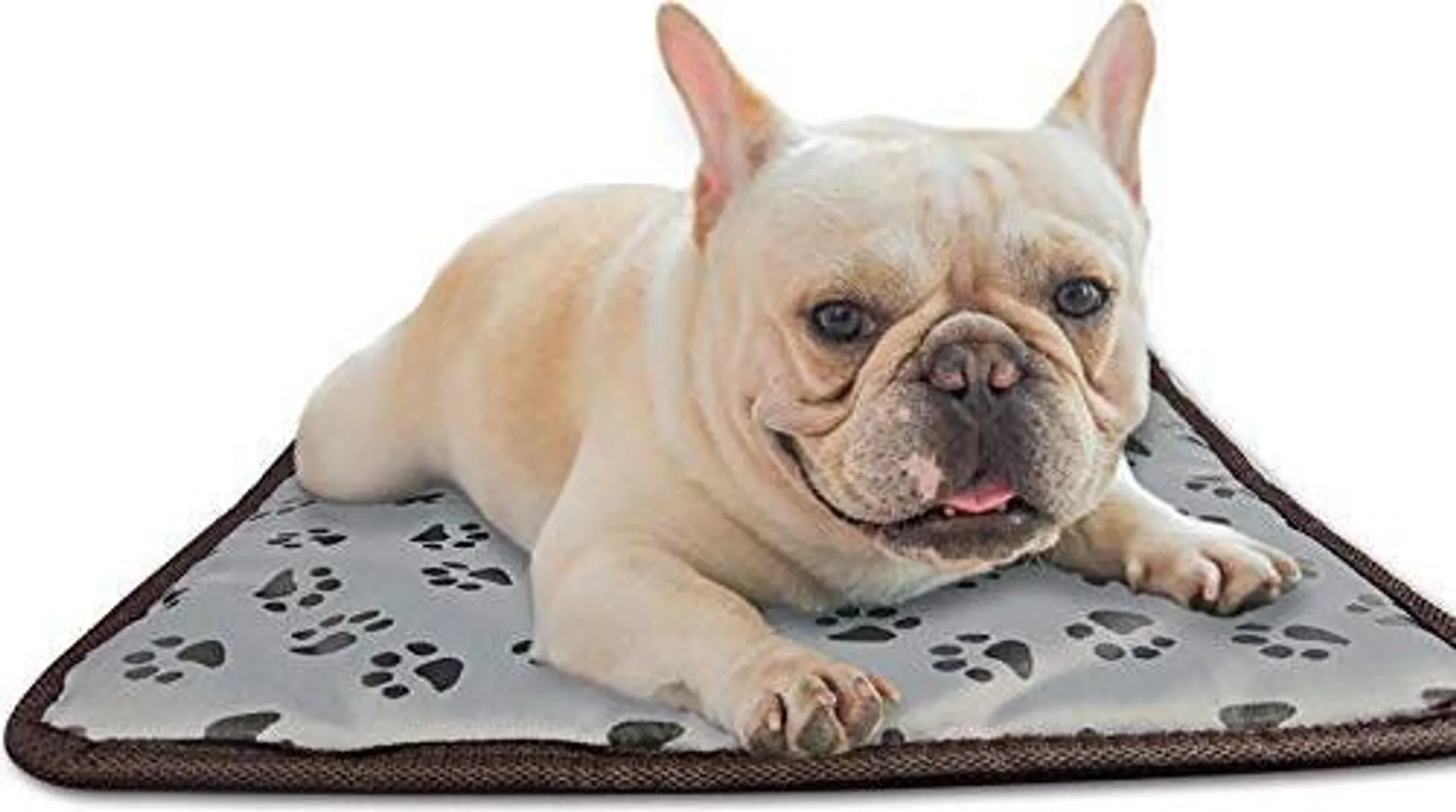 Ein hellbeiger Französischer Bulldogge liegt auf einer Matte mit Pfotenabdrücken.