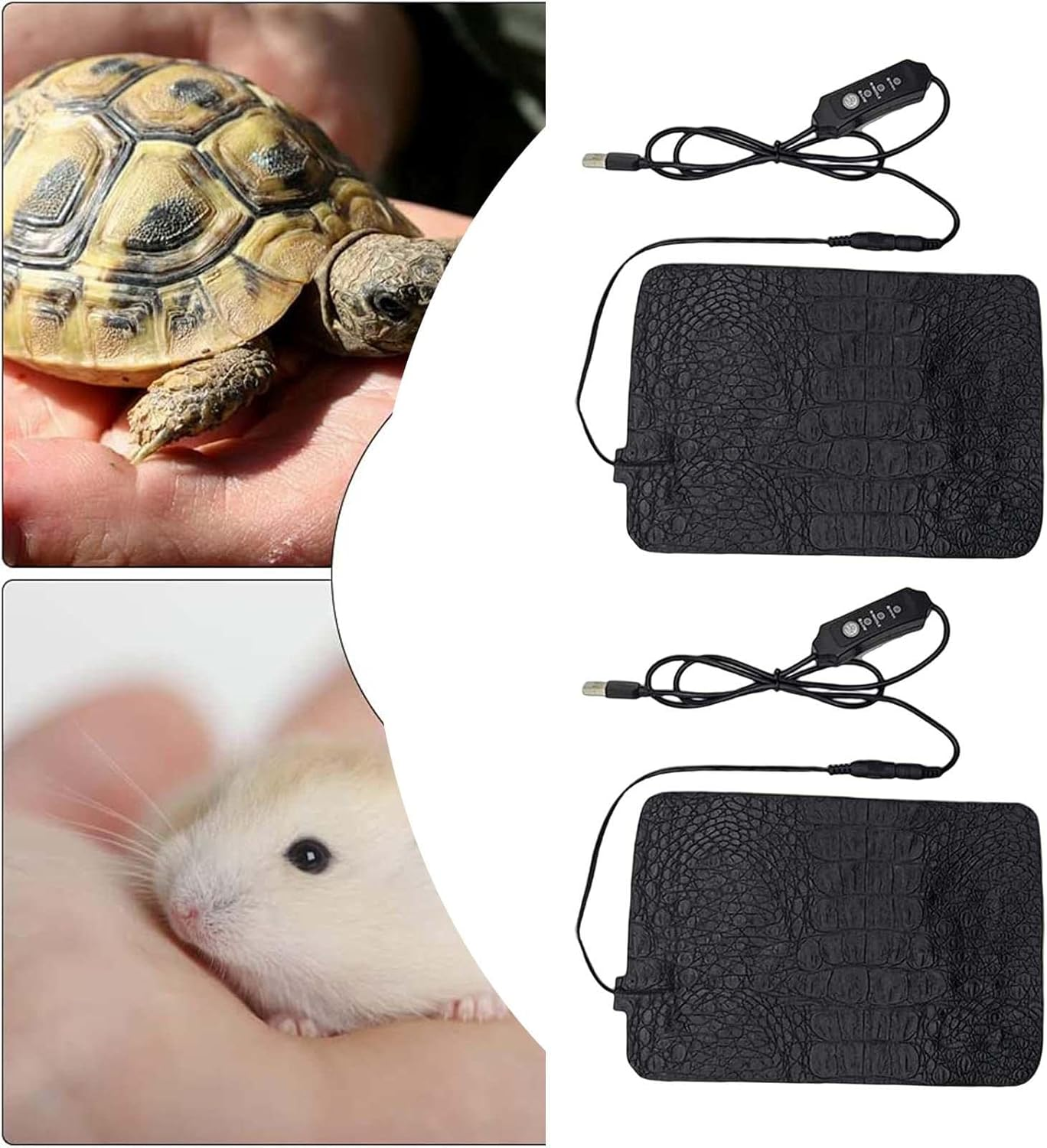 Eine Schildkröte in einer Hand und ein Hamster in einer Hand über Heizkissen.
