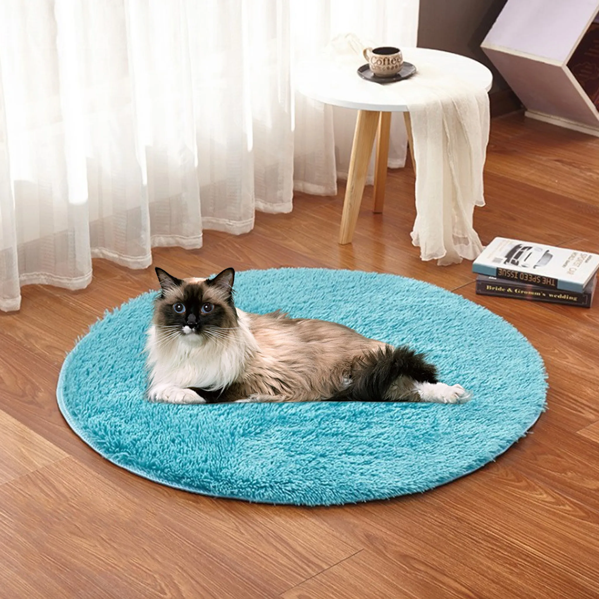 Eine Katze liegt auf einem flauschigen blauen Teppich neben einem kleinen Tisch.