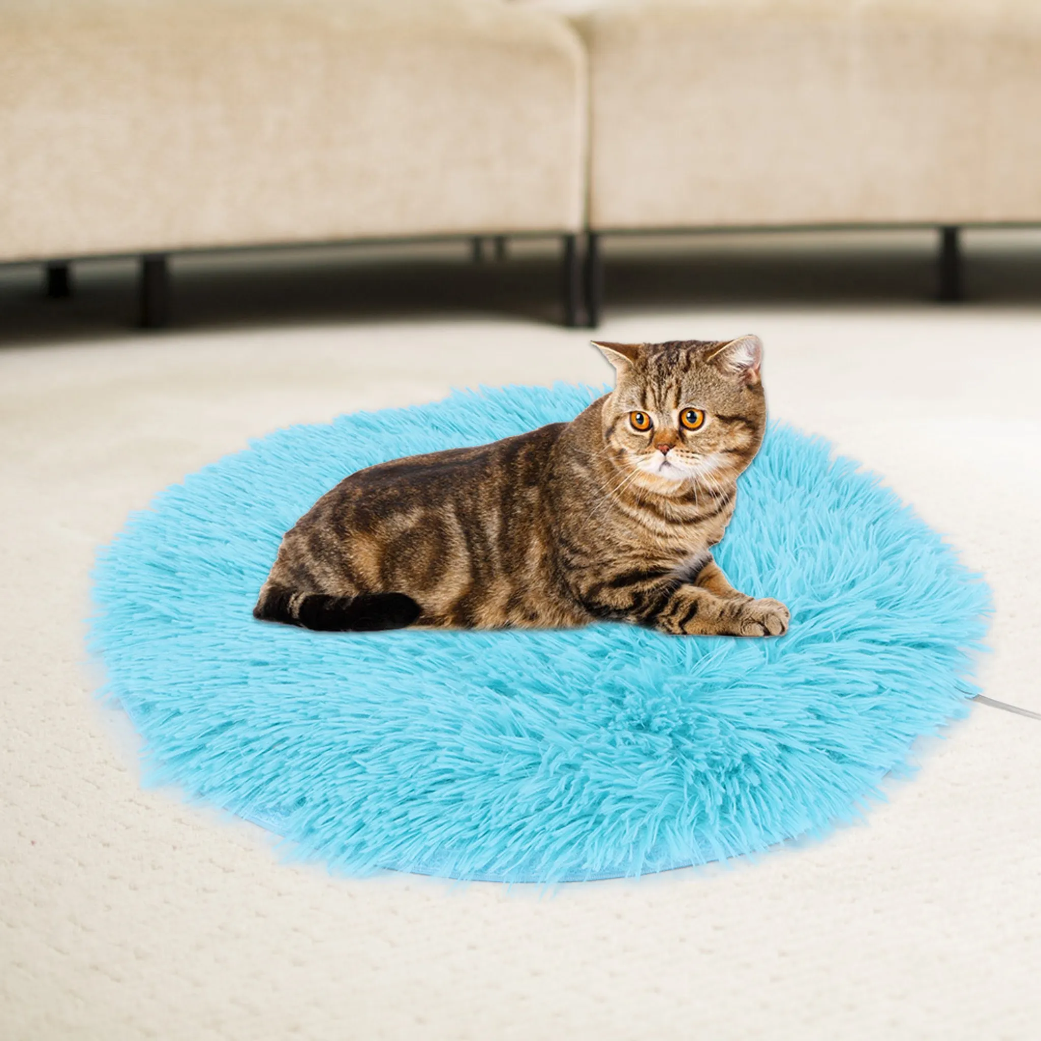 Eine getigerte Katze liegt auf einem flauschigen, hellblauen Teppich vor einem Sofa.