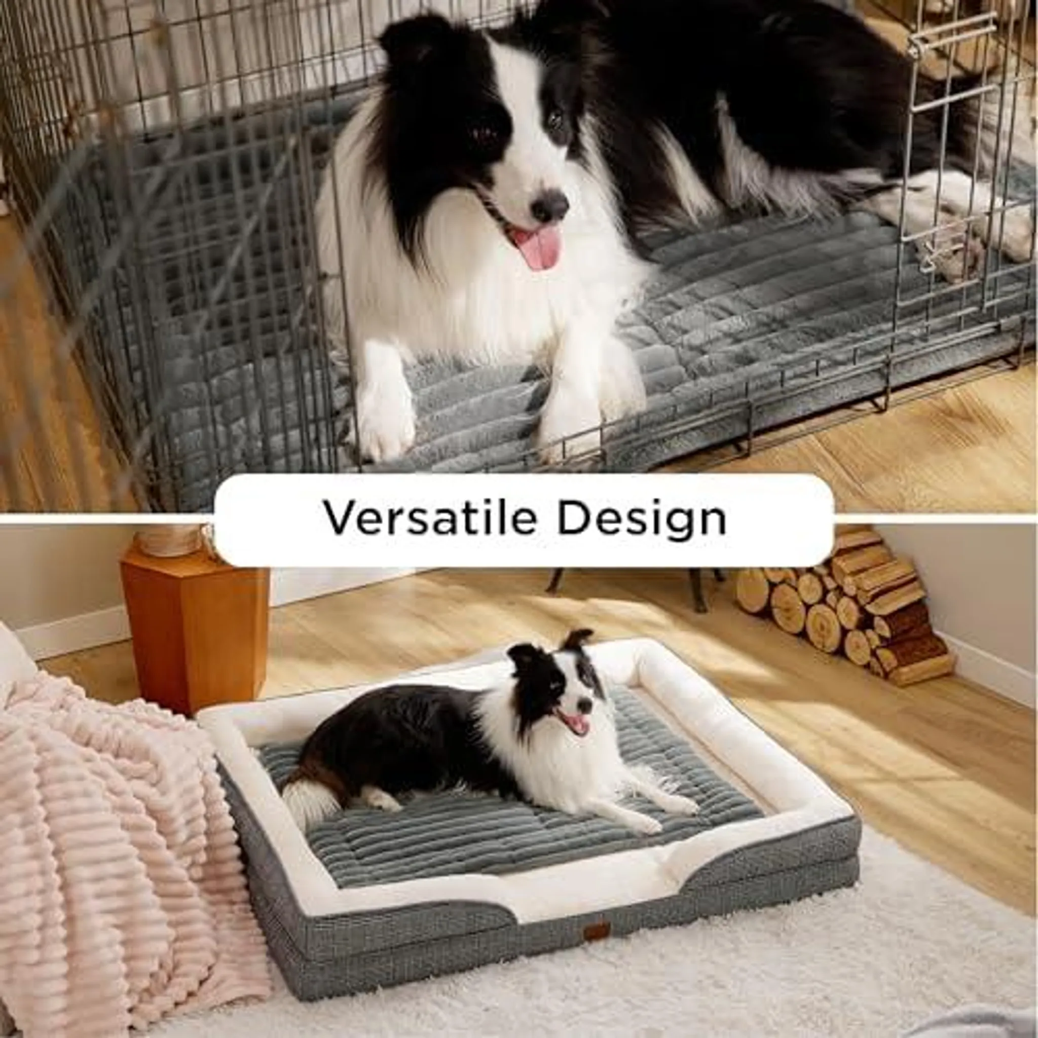 Ein Border Collie liegt in einem Hundekäfig und dann in einem Hundebett.