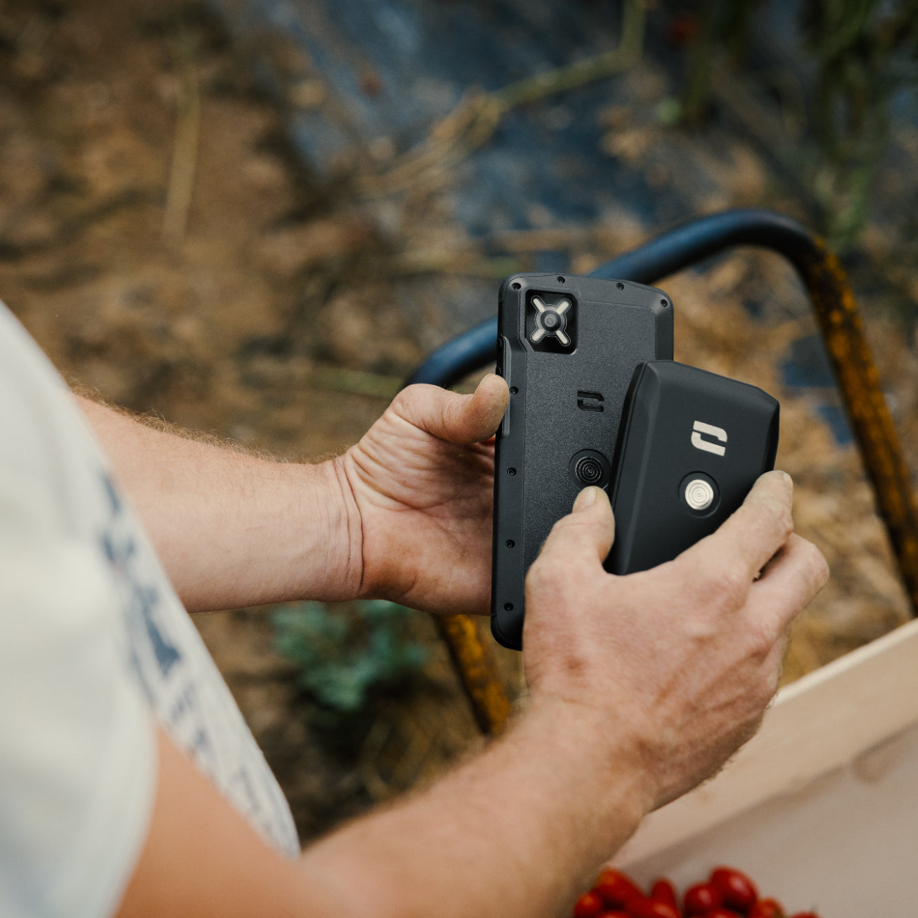 Handen houden een robuuste smartphone en powerbank vast bij een tomatenplant.