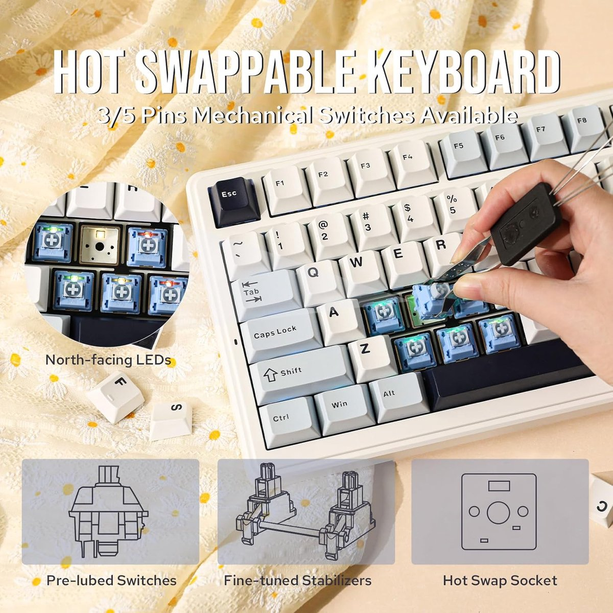 A hot-swappable keyboard layout focusing on switches and stabilizers.