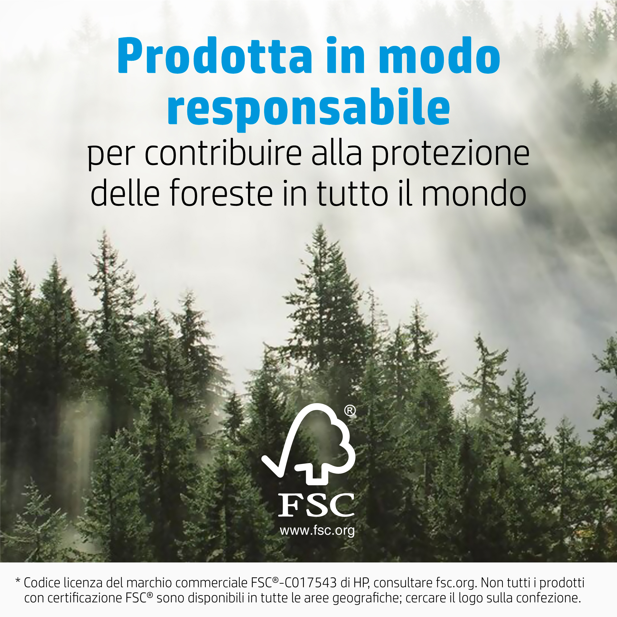 Paesaggio forestale con nebbia e logo FSC. Prodotto responsabilmente.