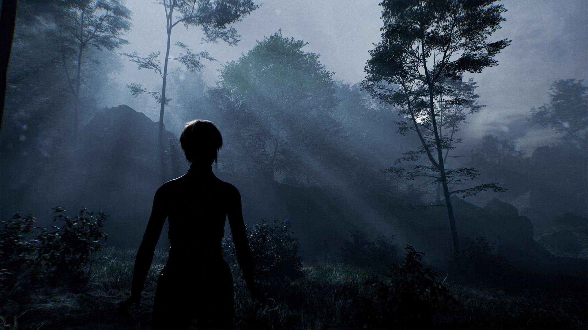 Kobieta stoi w mglistym lesie. Promienie słońca przebijają się przez drzewa.