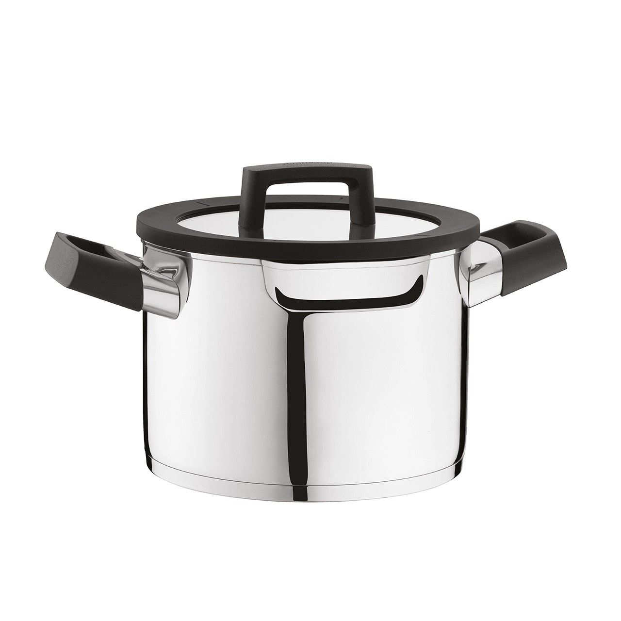 Stainless steel pot with black lid and handles.