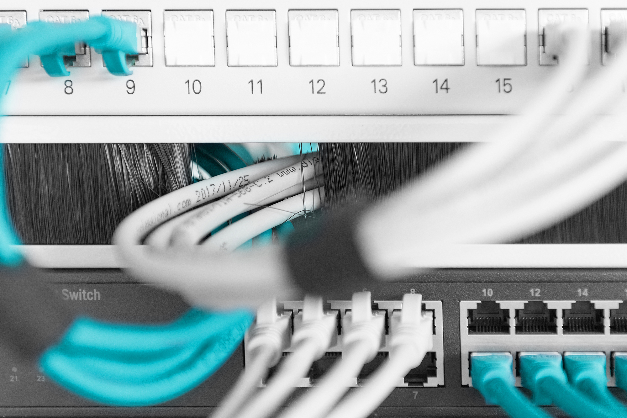 Cavi di rete turchesi e bianchi collegati a uno switch e a un patch panel.
