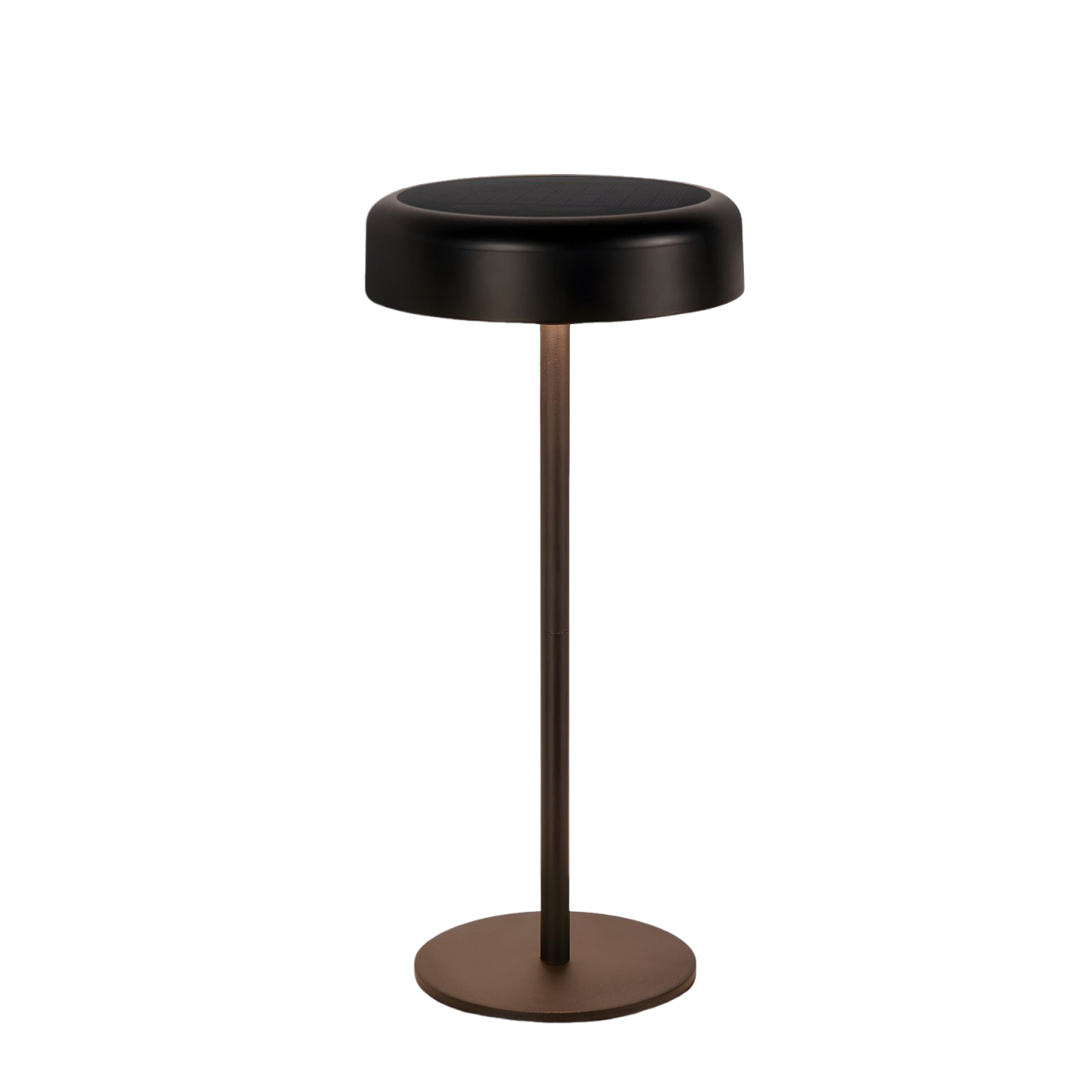 Una lampada da terra scura con paralume e base rotondi.