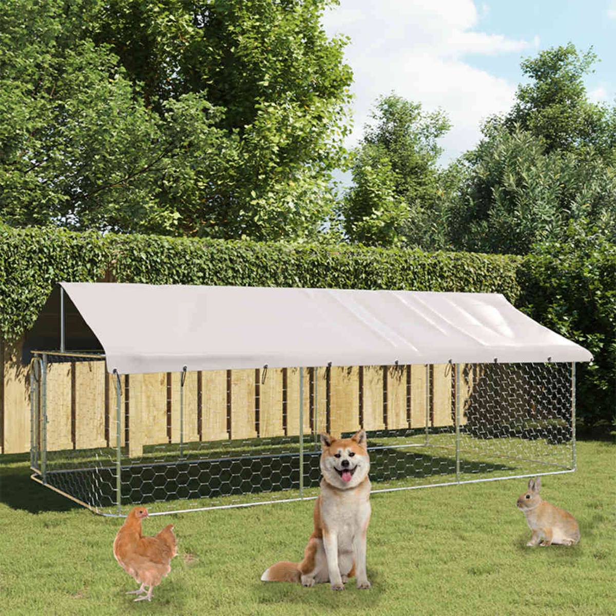 Ein Hund, ein Huhn und ein Kaninchen sitzen auf Gras vor einem großen Stall mit weißem Dach.