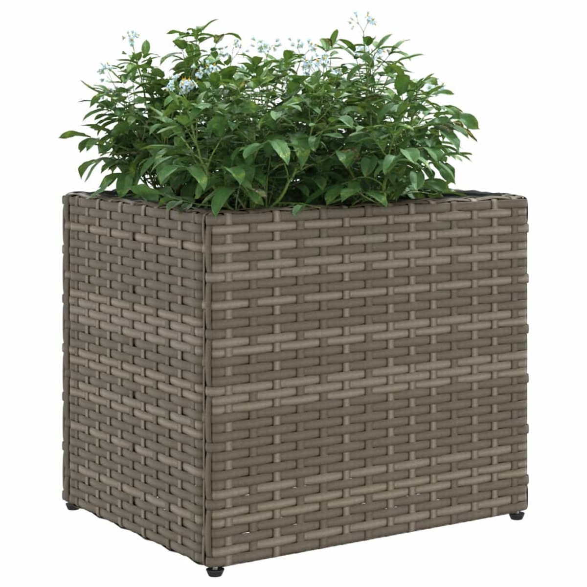 Una fioriera quadrata grigia effetto rattan con piante verdi e piccoli fiori bianchi.
