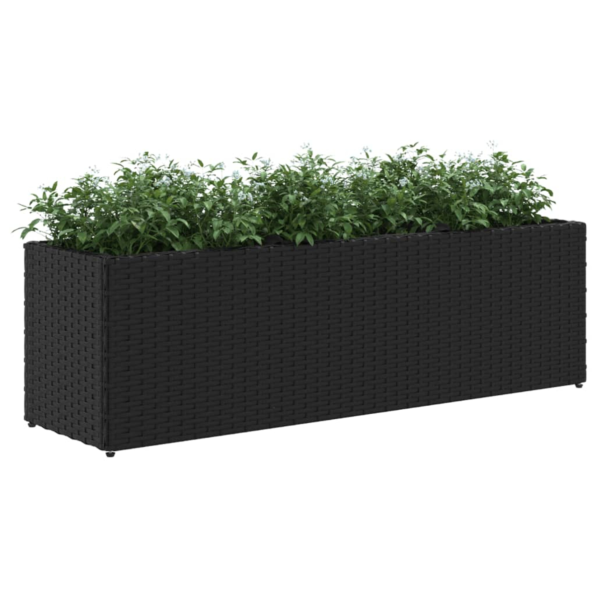 Fioriera rettangolare nera in rattan con piante verdi e piccoli fiori bianchi.