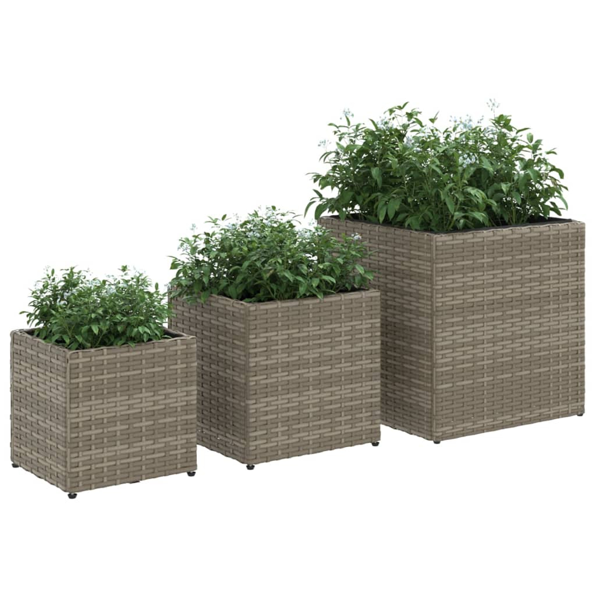 Tre fioriere rettangolari in rattan marrone con piante verdi.