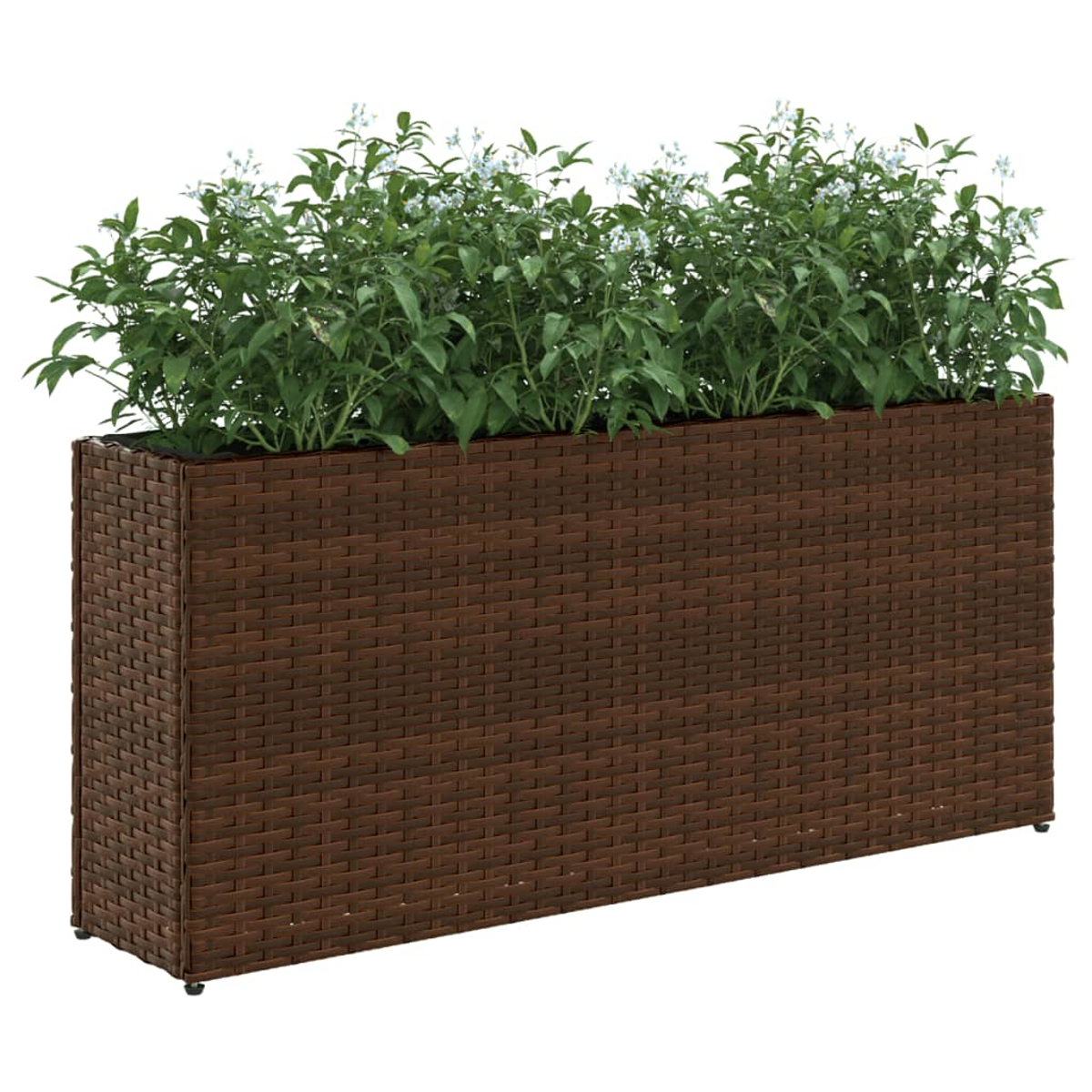 Un fioriera rettangolare in rattan marrone con piante verdi rigogliose e piccoli fiori blu.