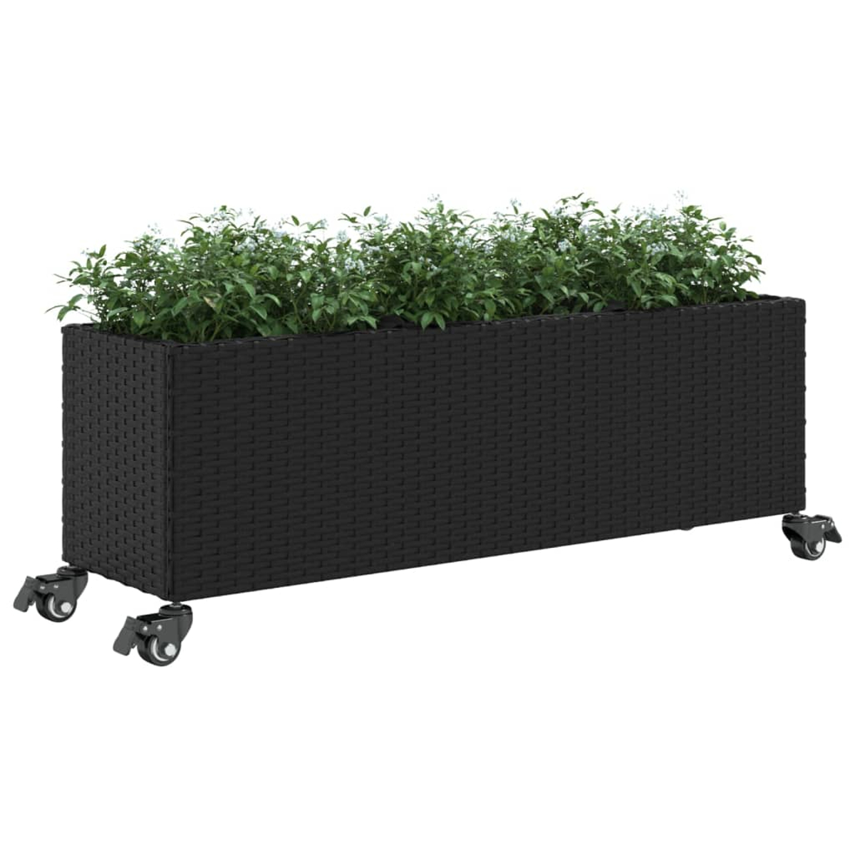 Fioriera rettangolare nera in rattan su ruote con piante verdi.