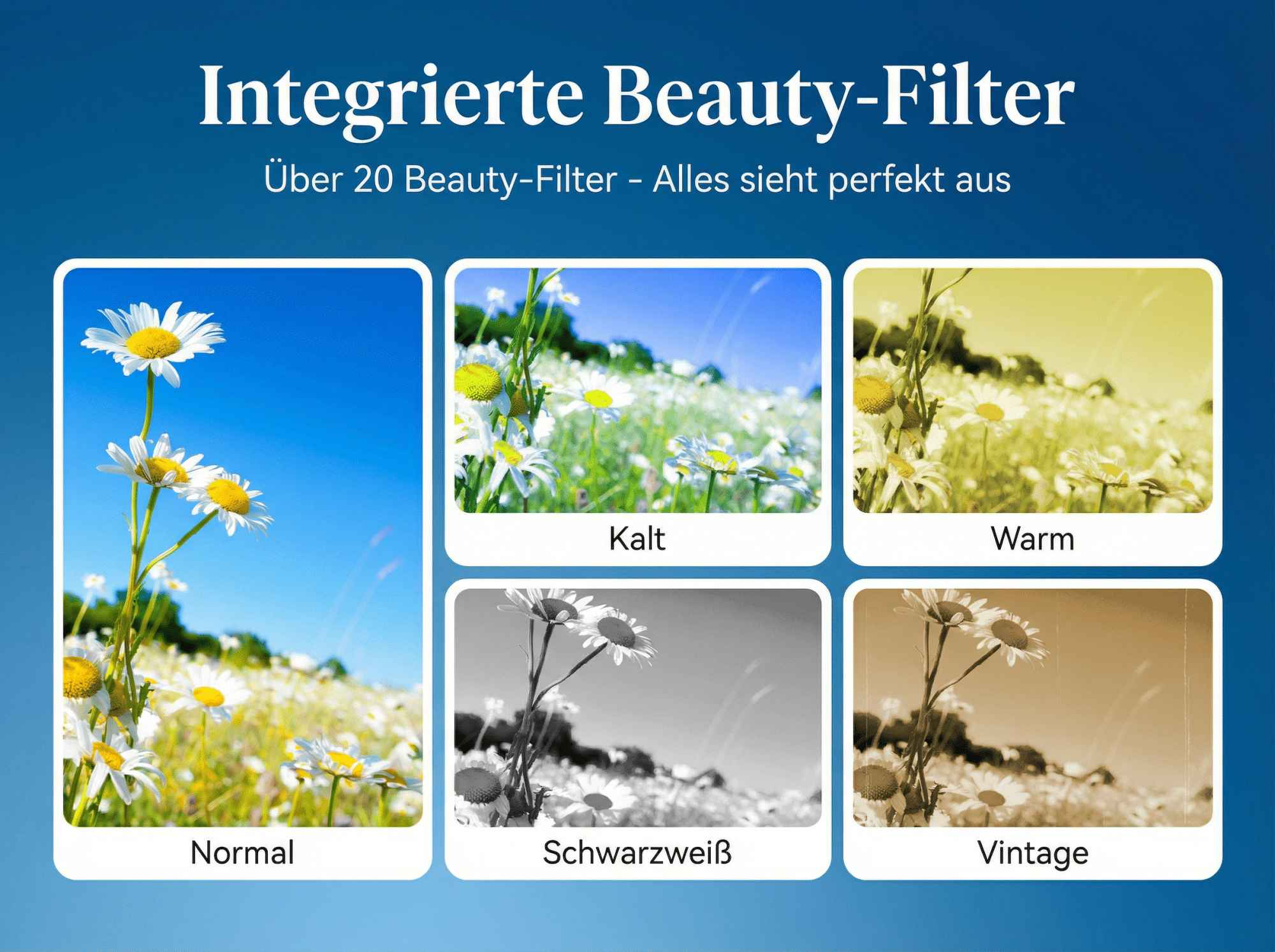 Bildschirm mit 5 Fotos von Gänseblümchen: Normal, Kalt, Warm, Schwarzweiß, Vintage.