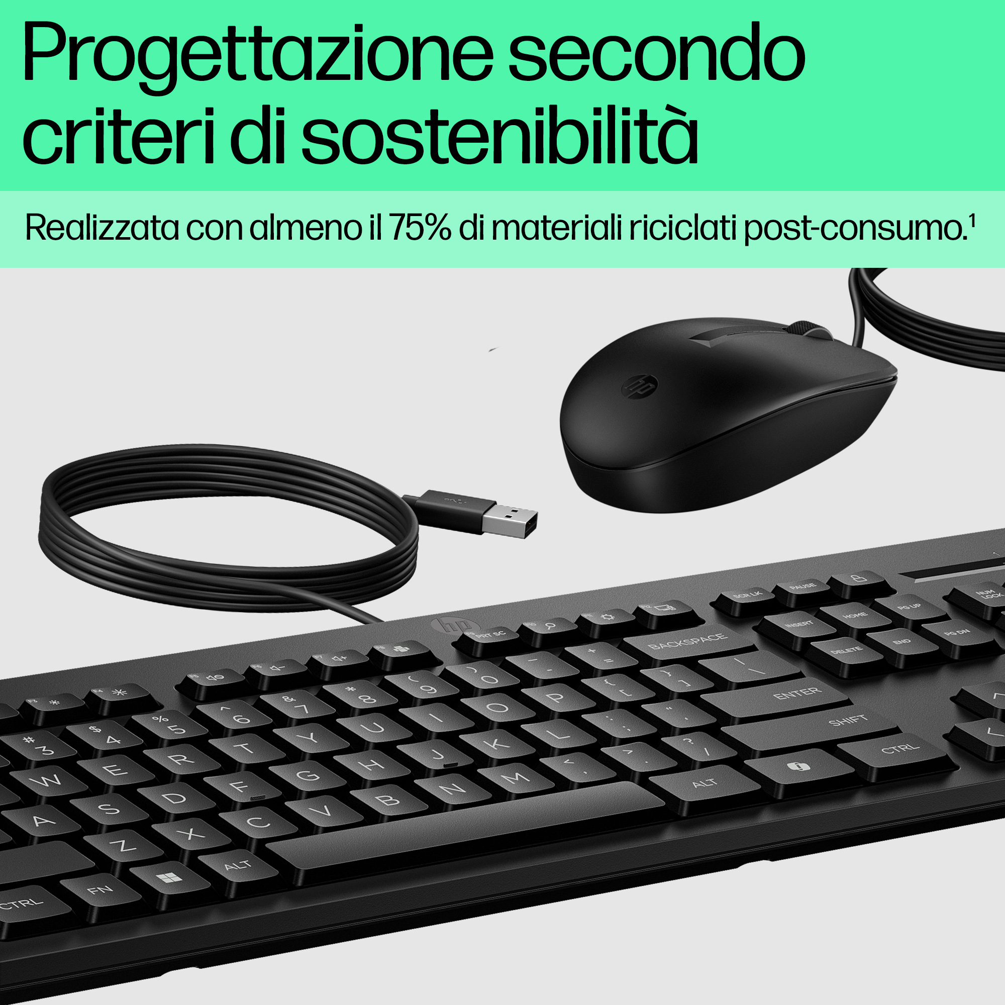 Tastiera e mouse HP neri con cavo USB su sfondo chiaro, testo in alto.
