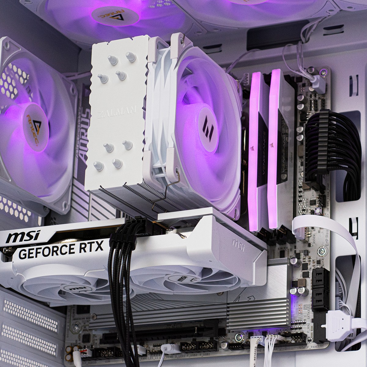 A PC case featuring a white graphics card, CPU cooler, and purple fans.
