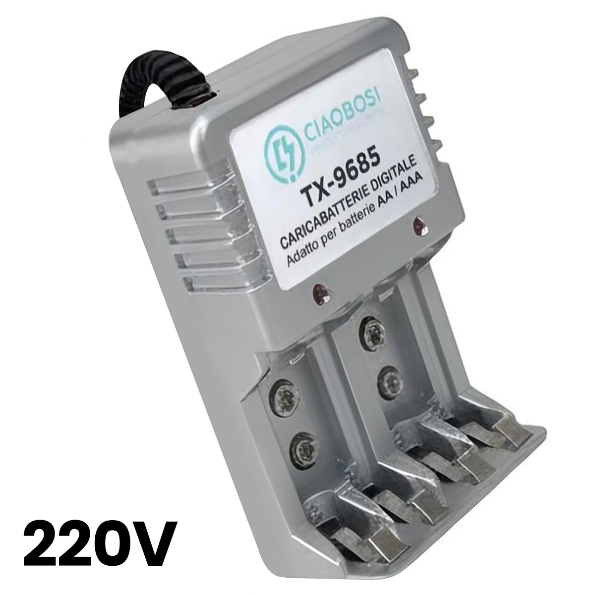 Silbernes Ladegerät für 2 AA/AAA-Batterien, TX-9685 Modell, 220V.