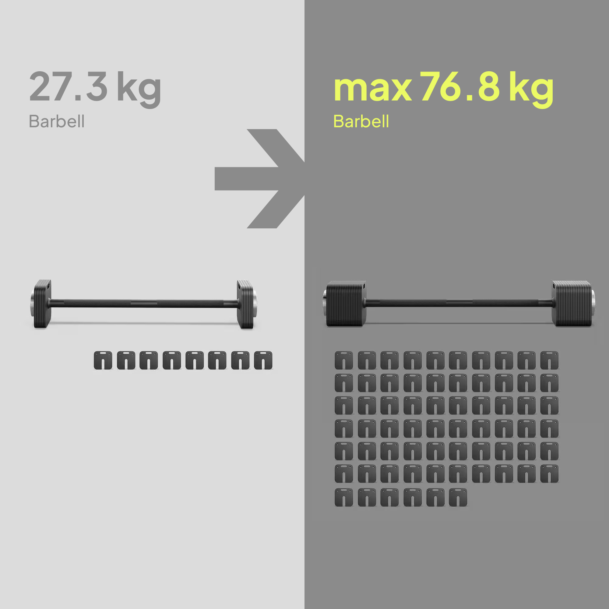 Hantel mit 27,3 kg und Hantelscheiben, daneben Hantel mit max. 76,8 kg.