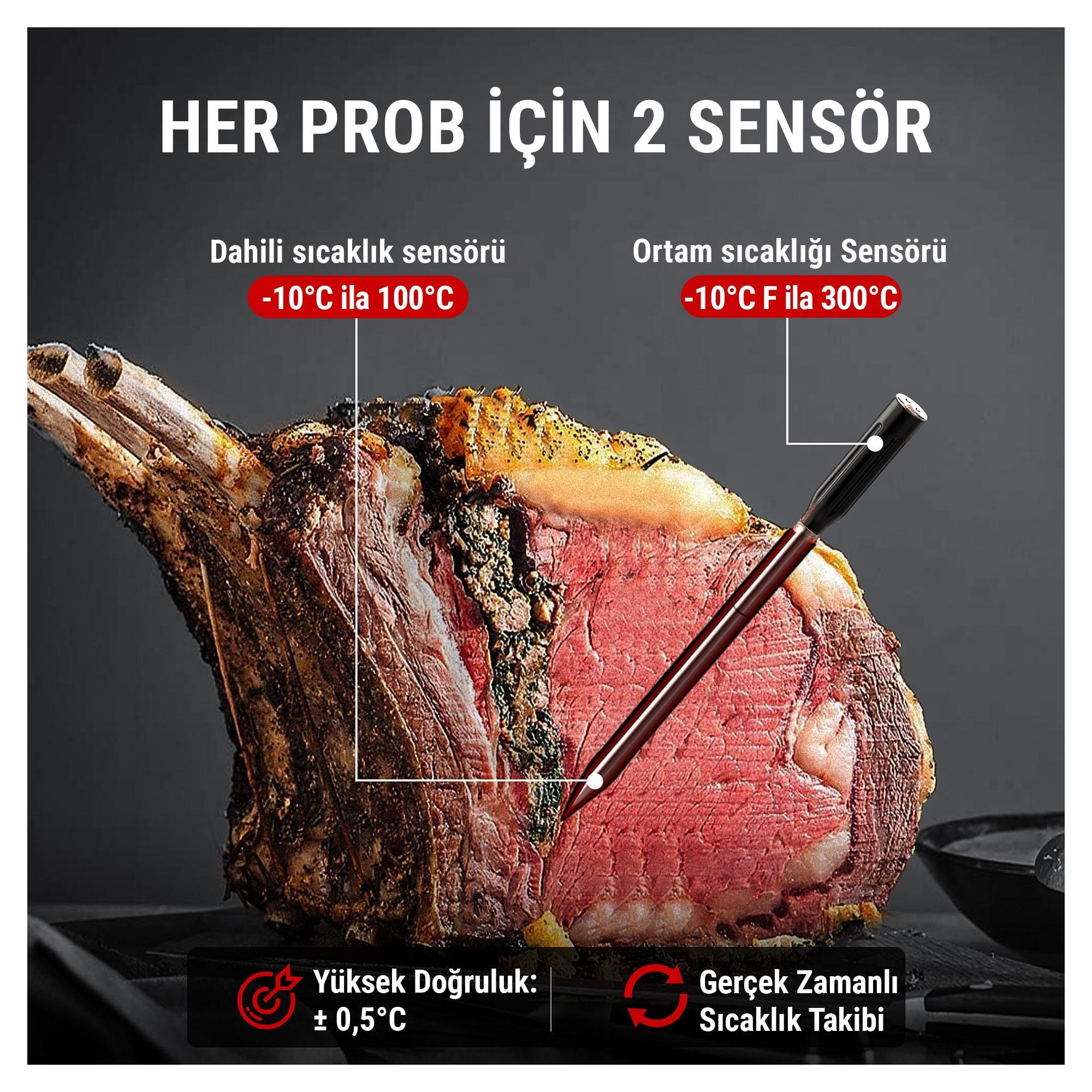 Sıcaklığı ölçen termometre probu olan kemikli bir rostoya.