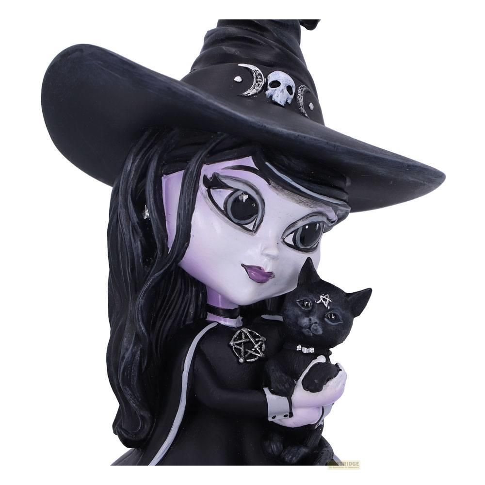 Eine Hexe mit lila Haut hält eine schwarze Katze. Ihre Hexe Hut hat Symbole.