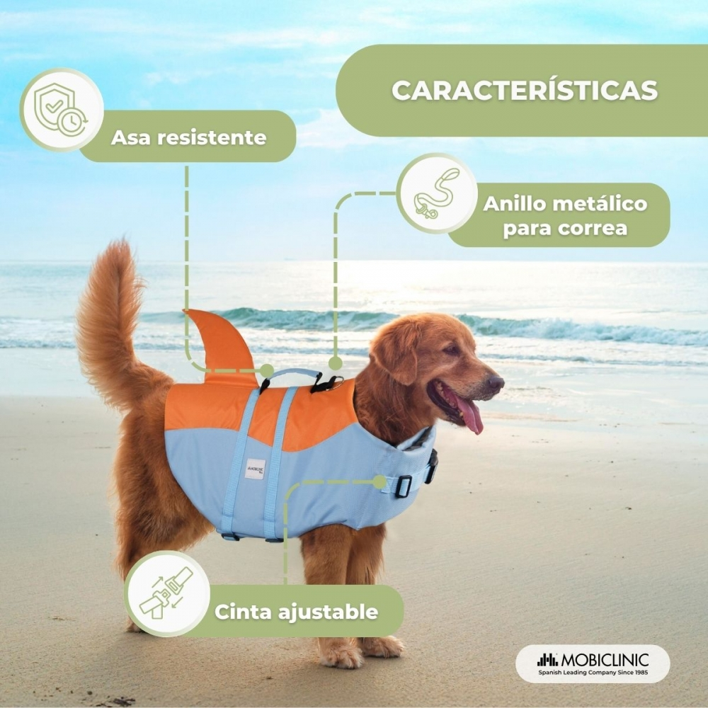 Un perro lleva un chaleco salvavidas naranja y azul en la playa. Se resaltan características.