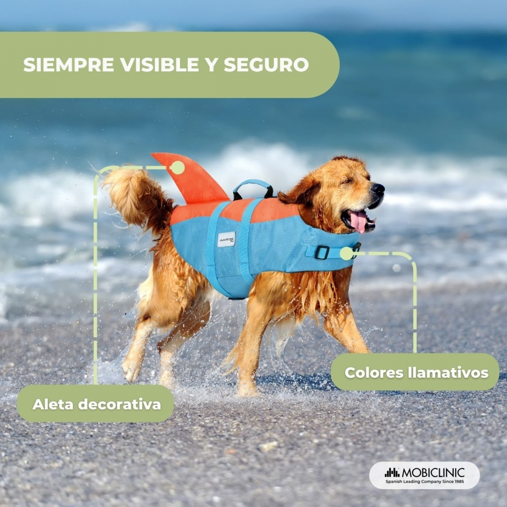 Perro golden retriever con chaleco salvavidas azul y naranja en playa.