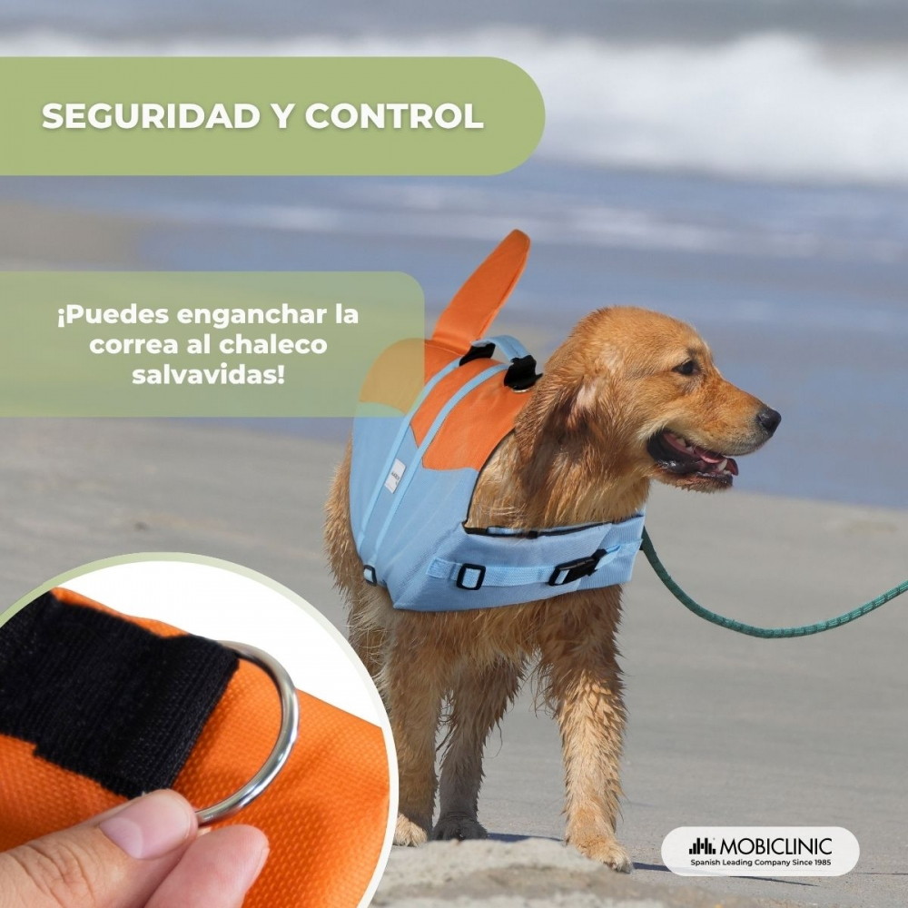Un perro con chaleco salvavidas azul y naranja en la playa.