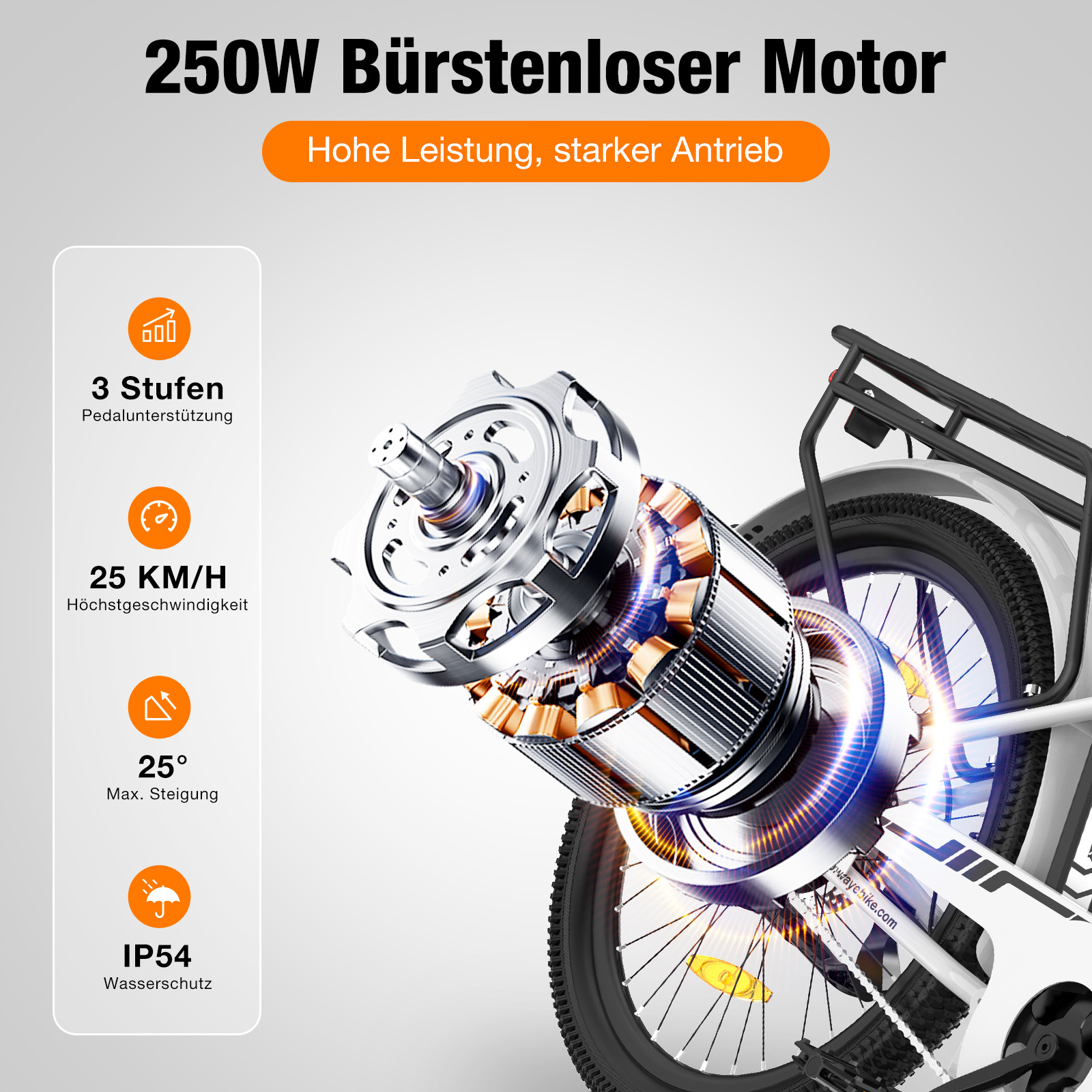Detaillierter Blick auf den 250W bürstenlosen Motor eines E-Bikes, mit technischen Daten.