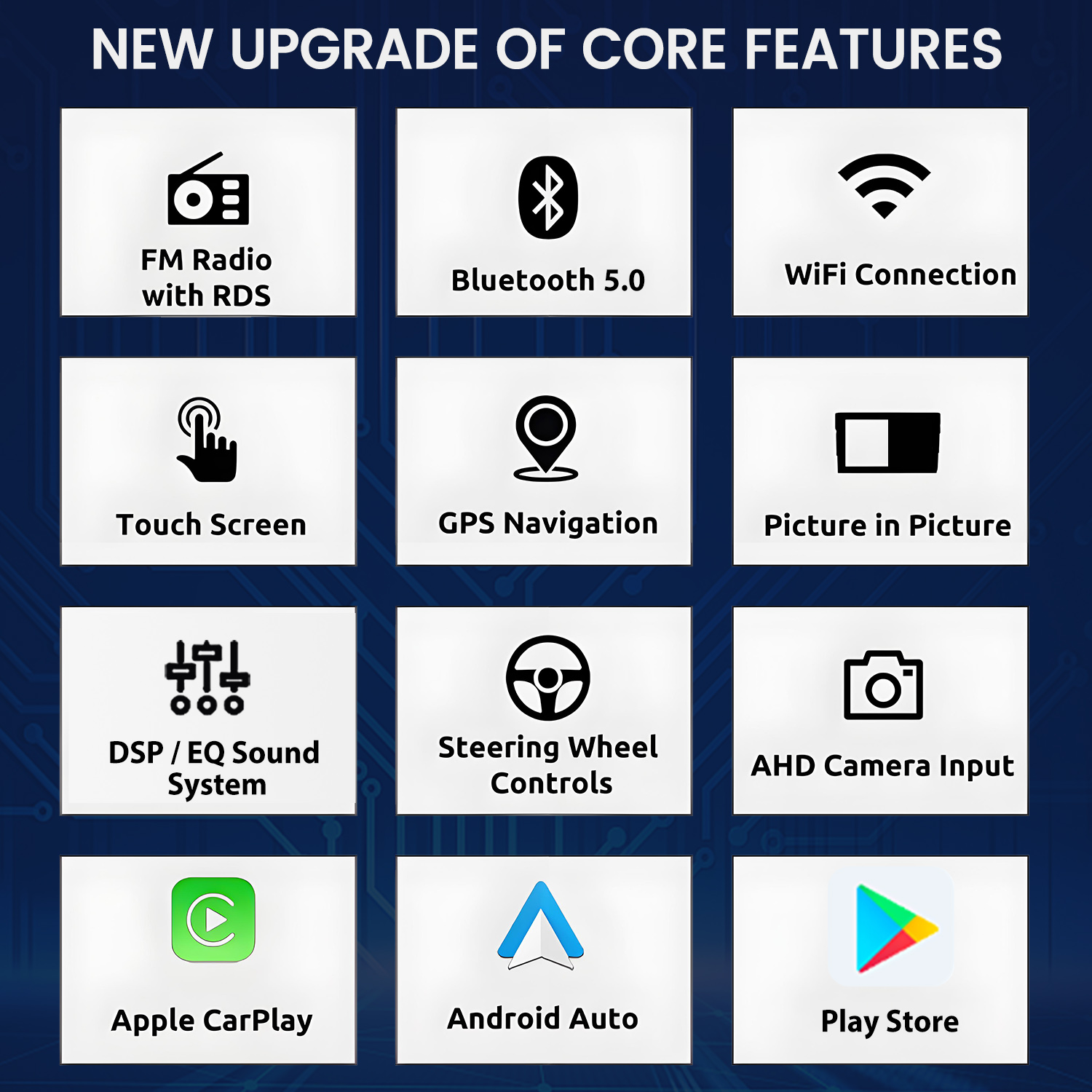 Grafica con 9 icone: Radio FM, Bluetooth, WiFi, Touchscreen, GPS, PiP, DSP, Volante, Telecamera.