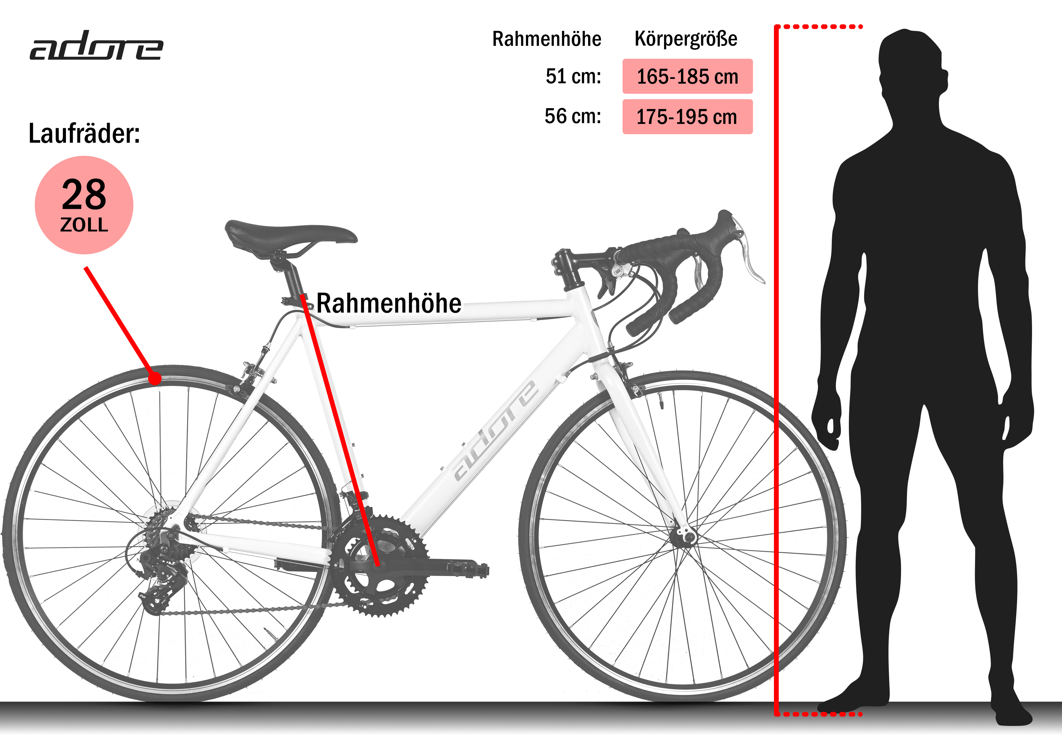 Größentabelle für ein weißes Adore Rennrad mit Größenangaben.
