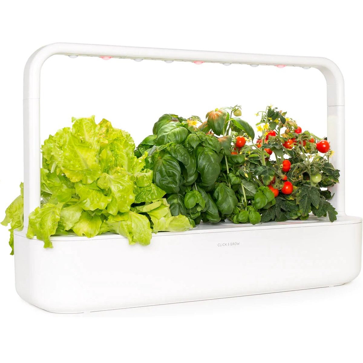 Sistema da giardino indoor bianco con lattuga, basilico e pomodori sotto luci LED.
