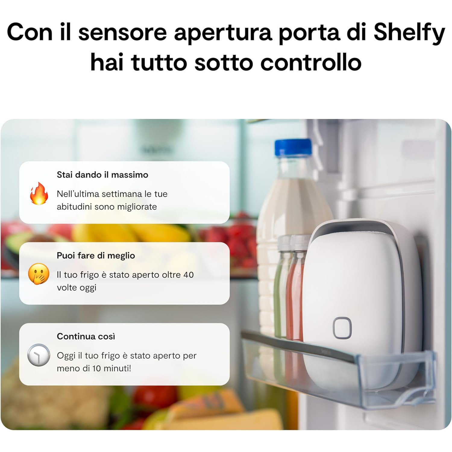 Un sensore porta bianco per frigoriferi con notifiche.