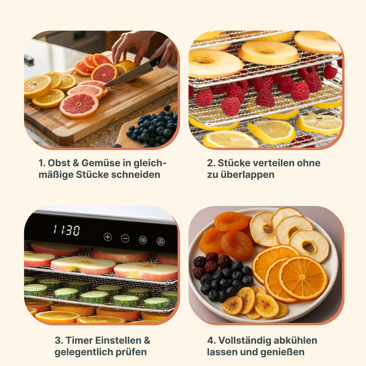 Vier Schritte zur Dörrung von Obst und Gemüse: schneiden, verteilen, trocknen, genießen.