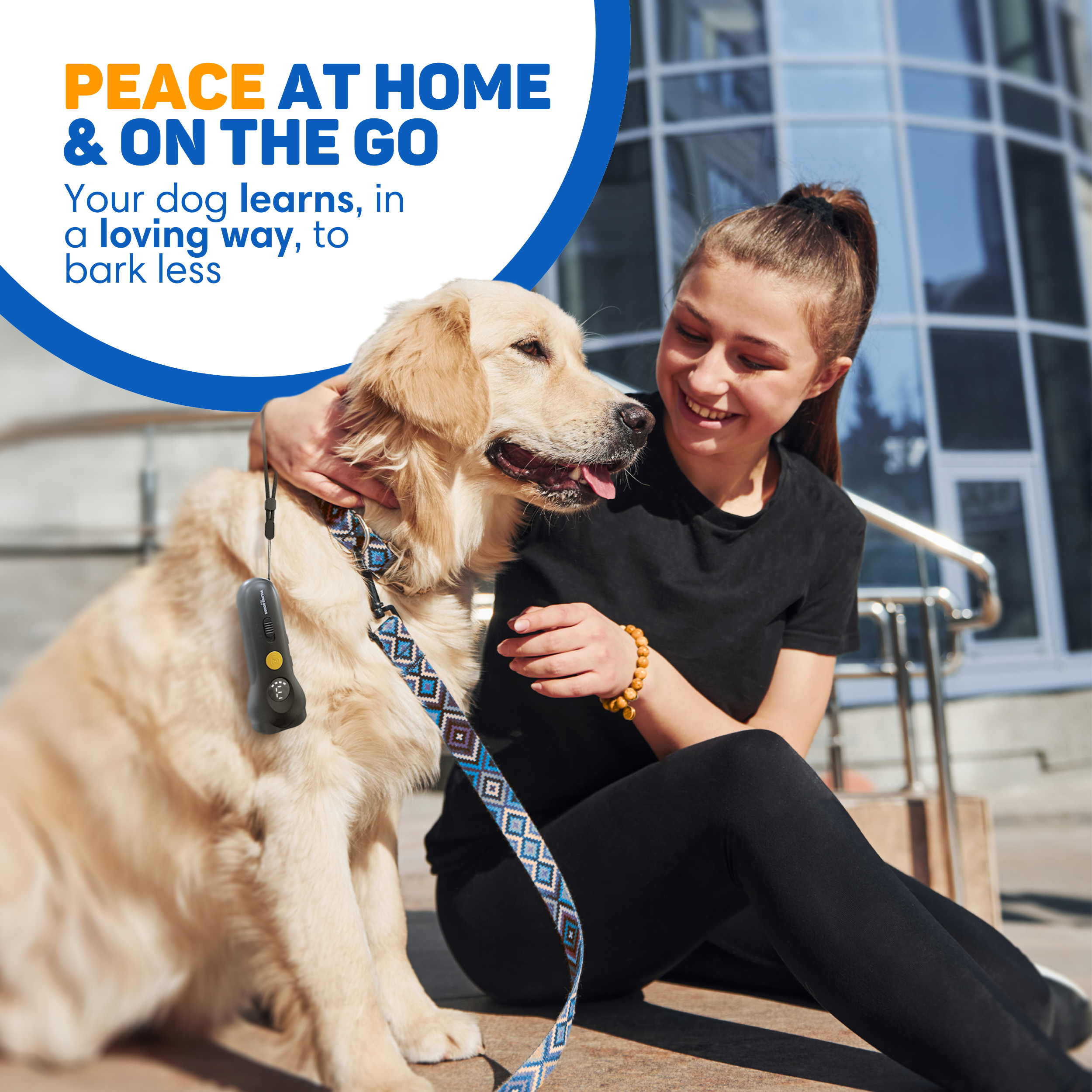 A young woman with a Golden Retriever and a training device.